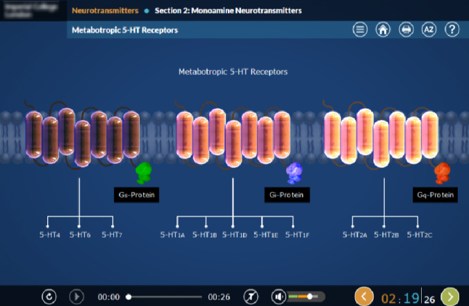 eLearning case study showcasing how custom training for clinical trial staff improved compliance and efficiency across global Pharma operations.